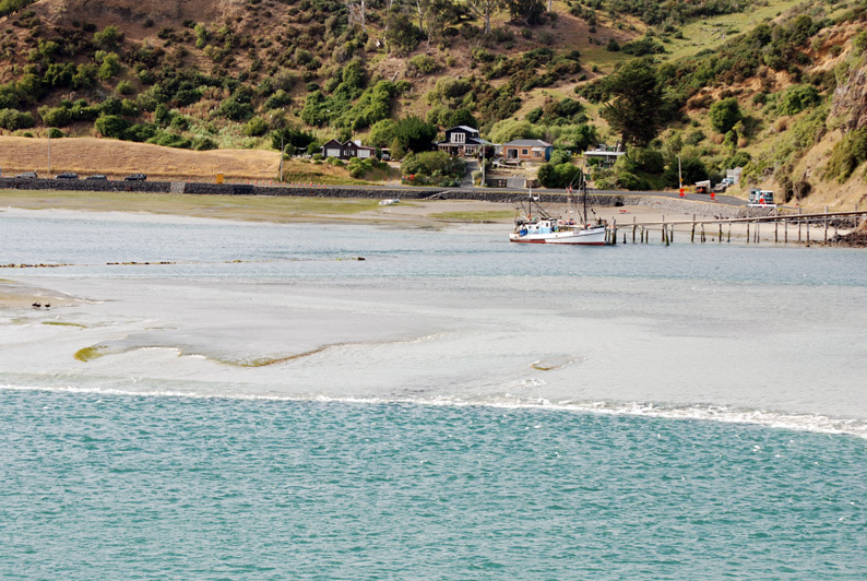 Fiskerbåd,-der-har-svært-ved-at-komme-u,-Port-Chalmers,-New-Zealand---Laust-Mærsk.jpg